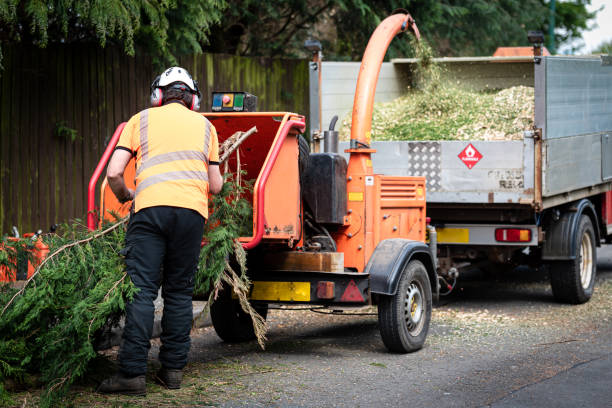 Best Weed Control  in Wrangell, AK